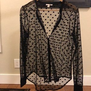 Amuse Society sheer blouse!